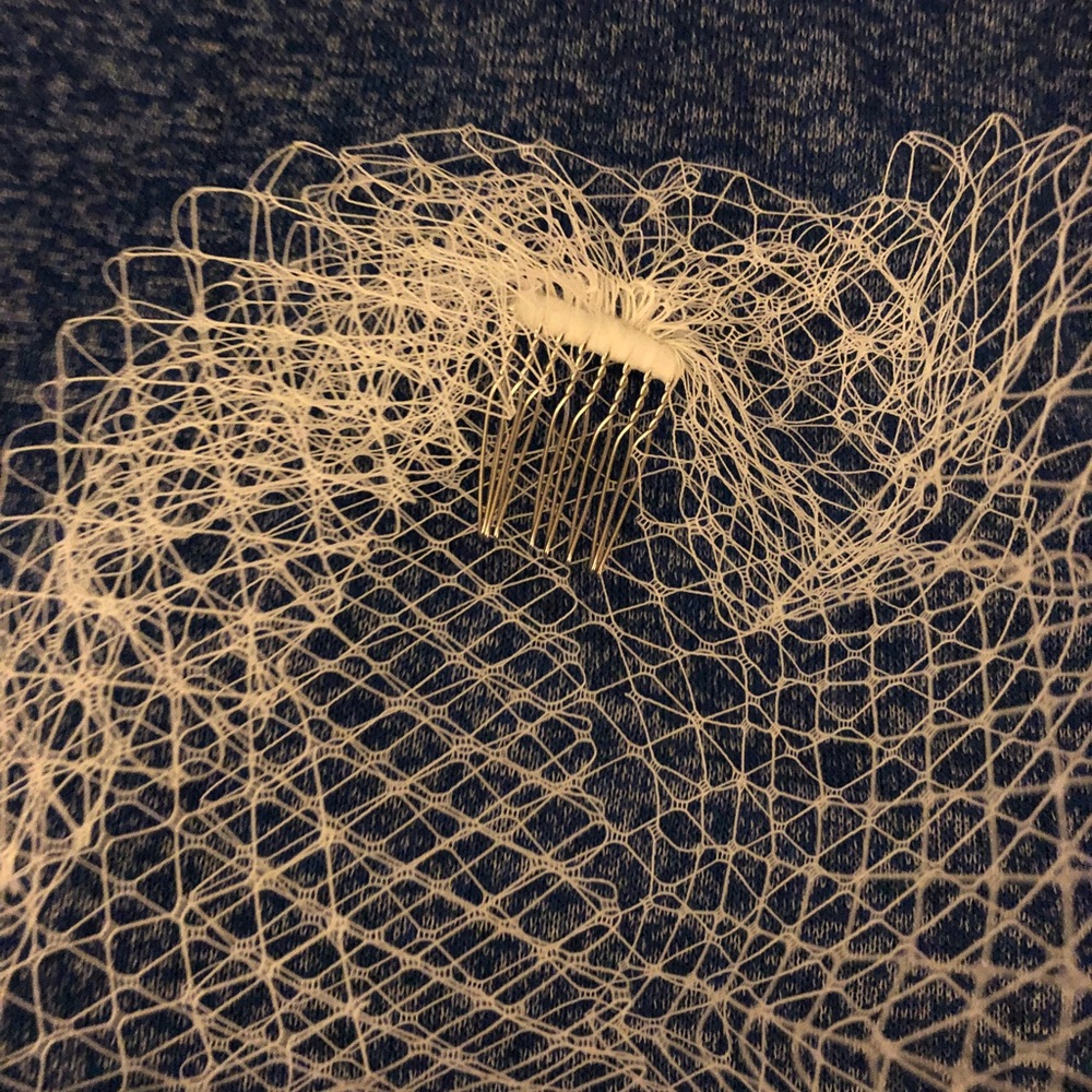 Birdcage Veil